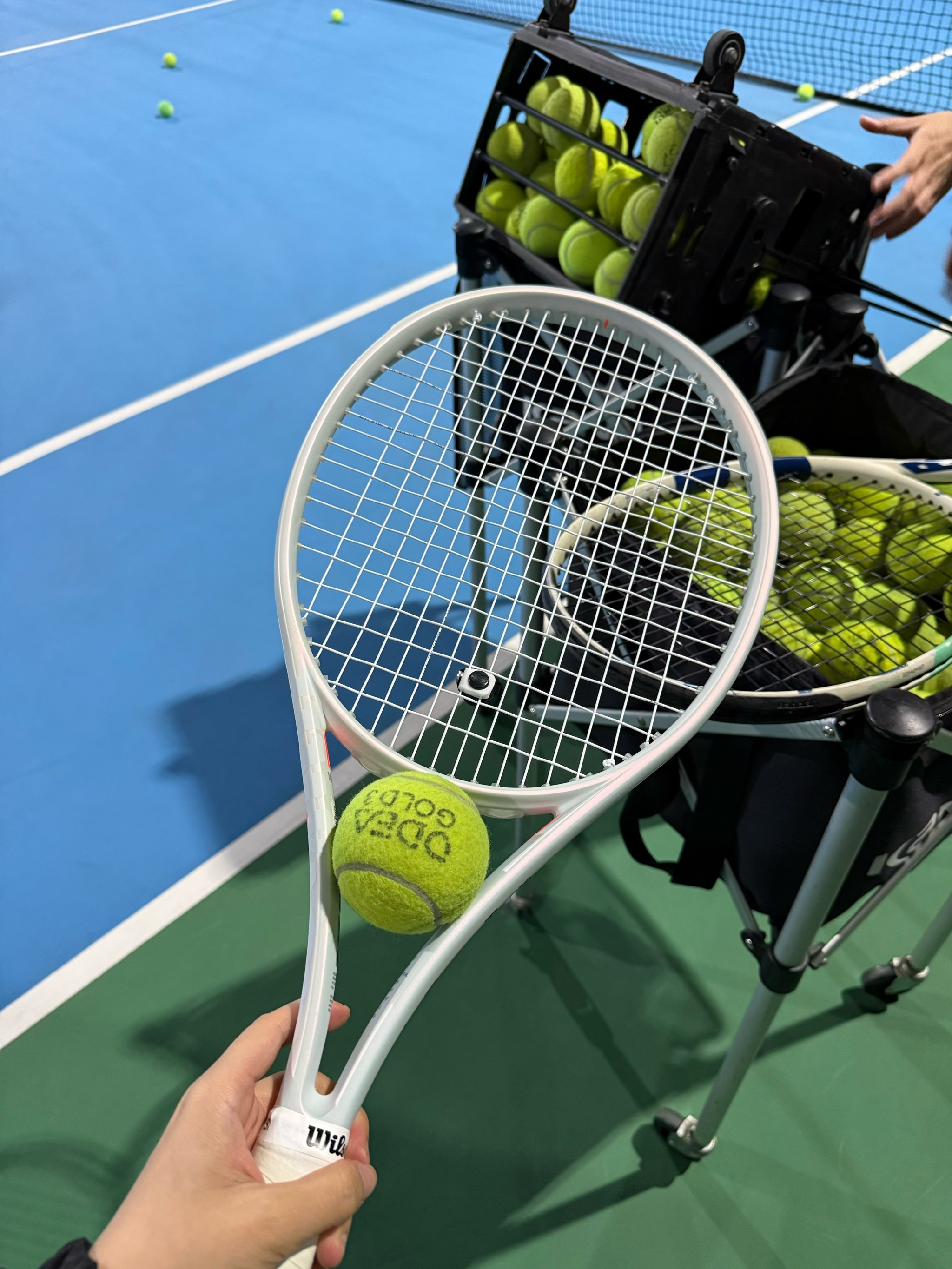 组场均贡献 组场均贡献