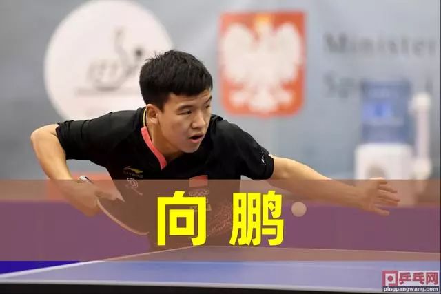 钟才替补登 钟才替补登