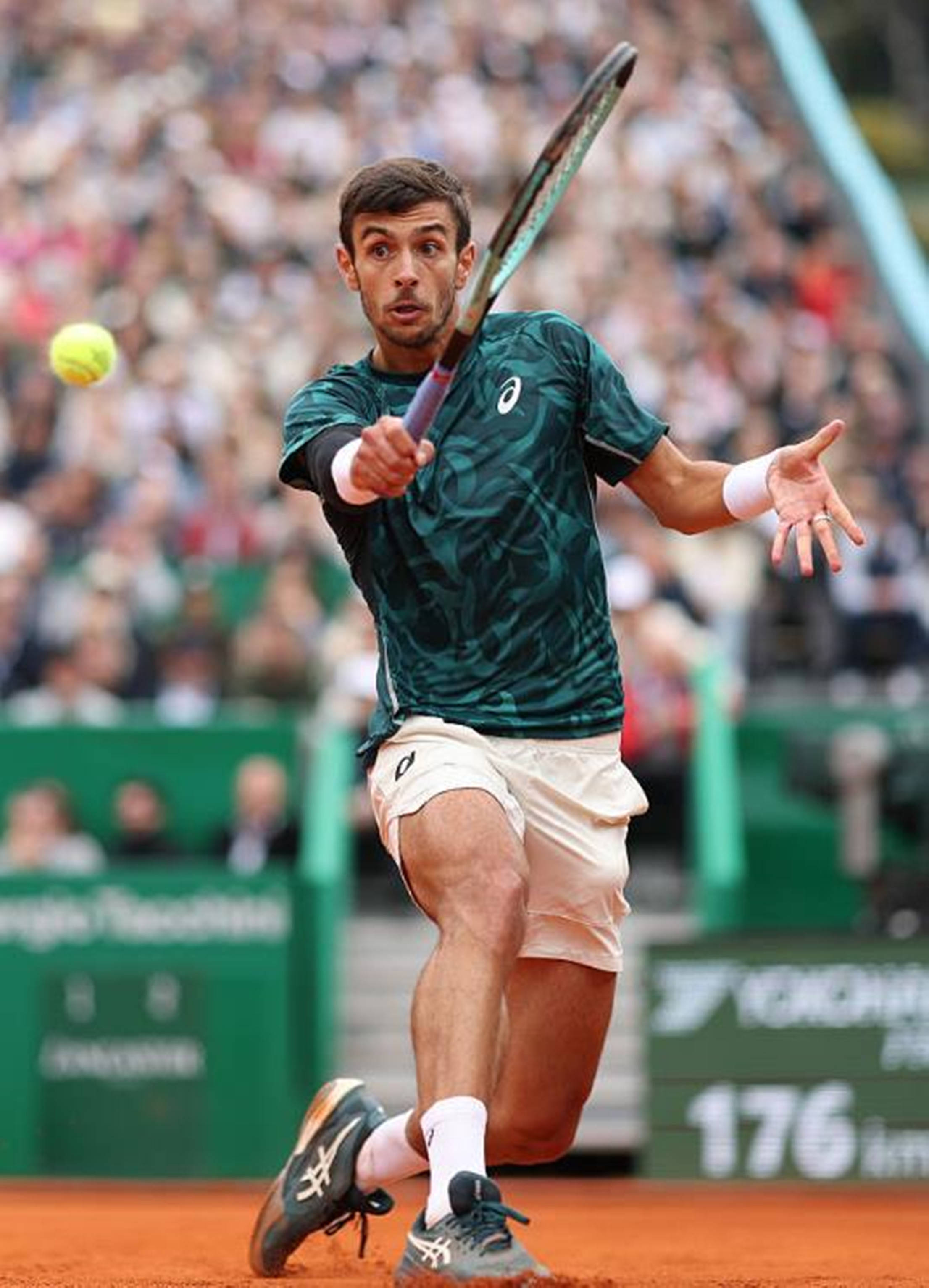 无论是注重 无论是注重