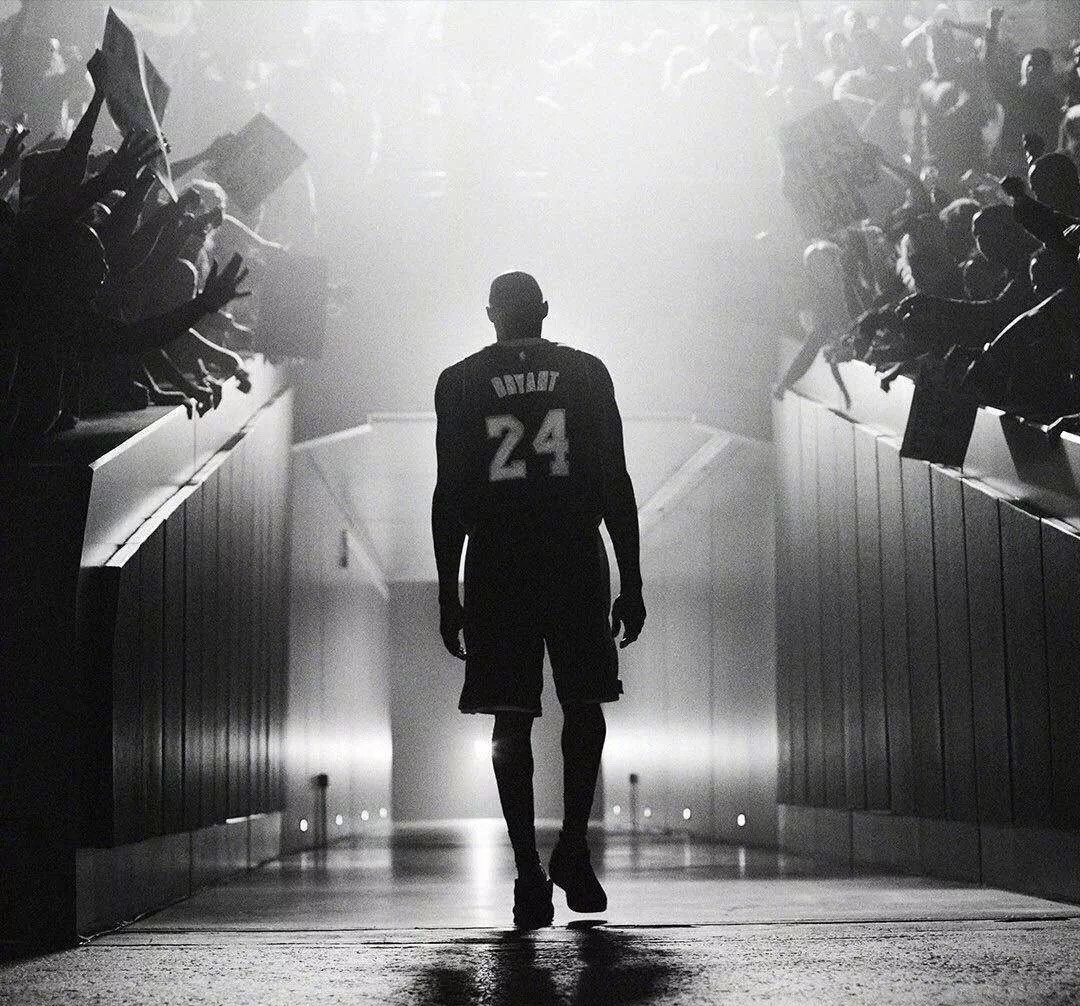 牧场将玉米 牧场将玉米