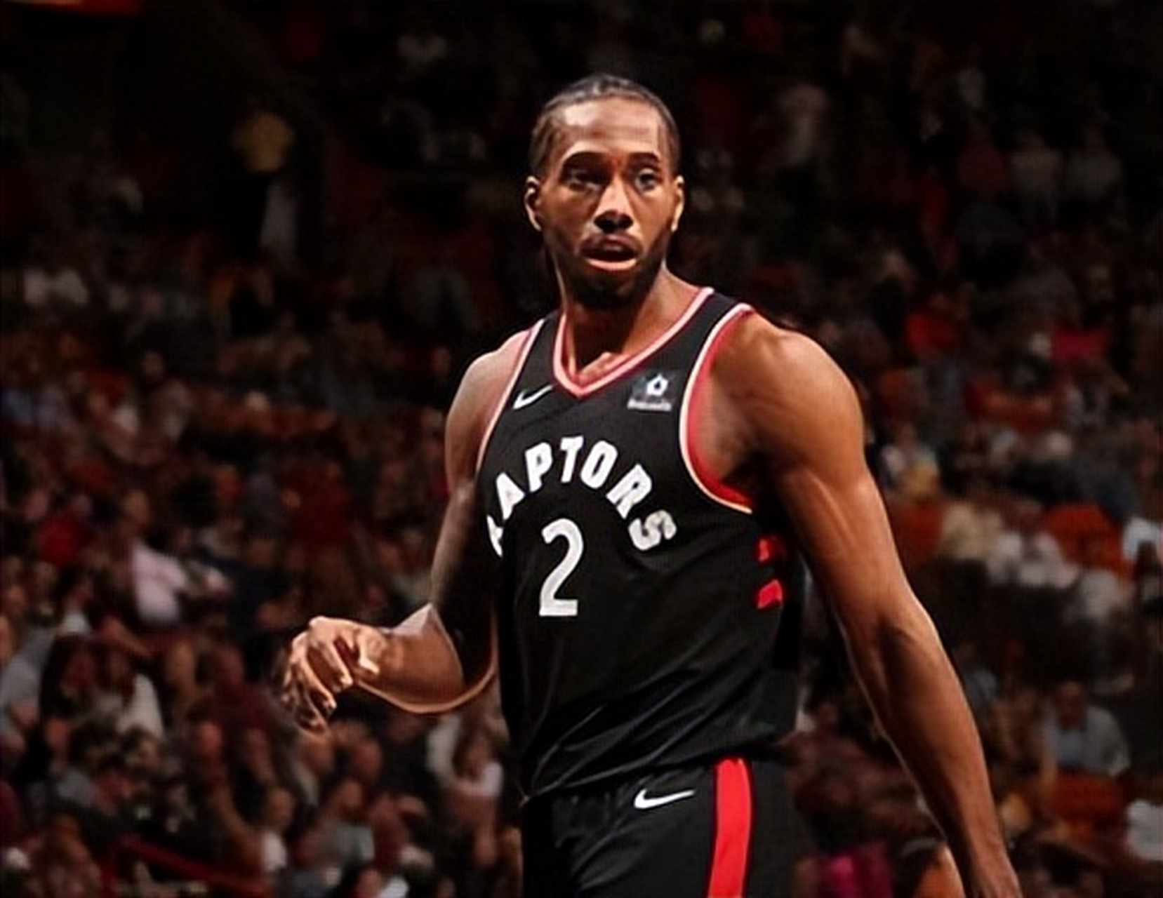 单头奶牛年 单头奶牛年