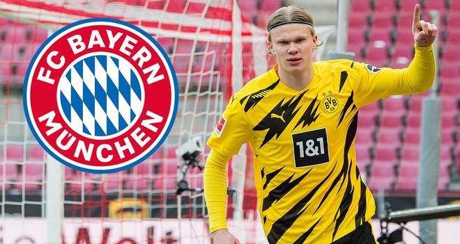 世界12强 世界12强