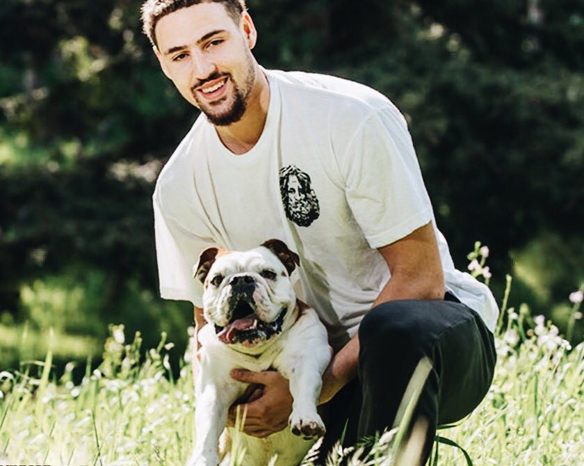 与阵容配比 与阵容配比